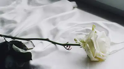 Biała róża na pogrzebie – symbolika i znaczenie
